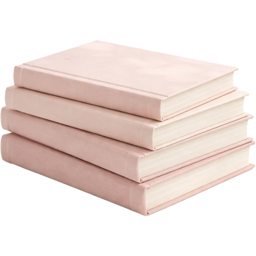 Ultra-realistic stack of 3–5 baby pink hardcover books, soft matte covers in varying shades of blush and pastel pink, slightly worn edges and delicate page texture visible, minimal embossed titles with no readable text, warm soft natural lighting, subtle shadows, clean aesthetic, cozy book girl vibe, photographed in a minimal studio setting, high detail, soft depth of field, gentle highlights,