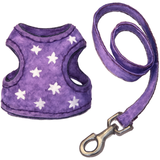 Hazme una pechera de perro chiquito que sea morada con estampado de estrellas blanco y tenga al lado una correa morada con broche plateado y que sea estos accesorios sin el perro