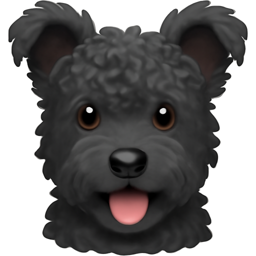 A black Pumi dog with loose curly hair, with ears that are pointier and stuck out more and a little greyness in their coat