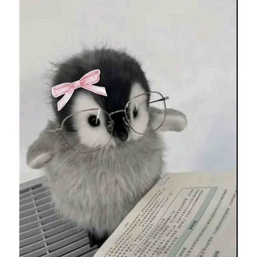 MissBooks's profile picture