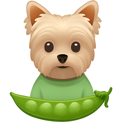 light grey beige yorkshire terrier with a basic trim hairstyle and a light green sweater on with a sugar snap pea pod in front of him