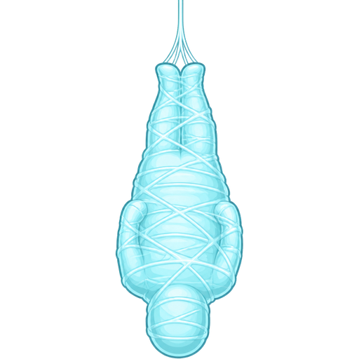 #B8FFFF spider slik cocoon #B8FFFF mummified completely covered human shaped cocoon hanged upside down covered with #B8FFFF thin coat of #B8FFFF spider webs
