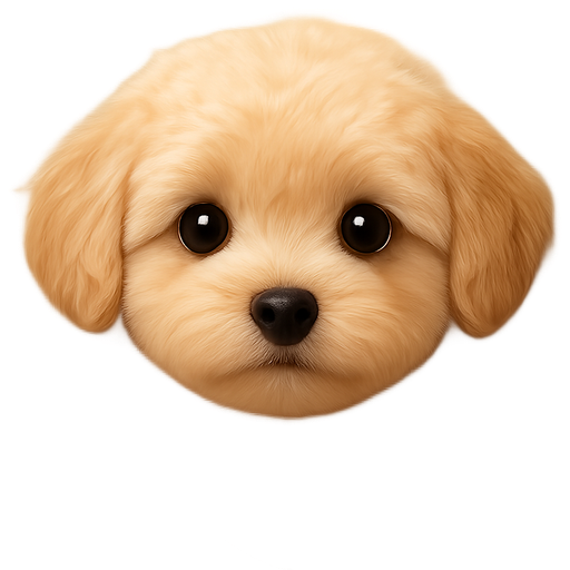 Create a realistic 3D emoji of a beige heart with the face of a Maltipoo puppy in the center, in the same glossy Apple-style aesthetic. The Maltipoo should have a fluffy, slightly curly coat, large round eyes, a tiny black nose, and a short baby-face muzzle. The coat color should be warm caramel or cream, with smooth 3D shading and gentle lighting. The heart should be soft beige, slightly glossy and rounded, matching the warm tones of the Maltipoo. Style: Apple emoji look — clean, smooth 3D, natural highlights, realistic yet minimal. Mood: warm, elegant, cozy, “Maltipovska” brand vibe. Format: 512×512 px PNG, transparent background.